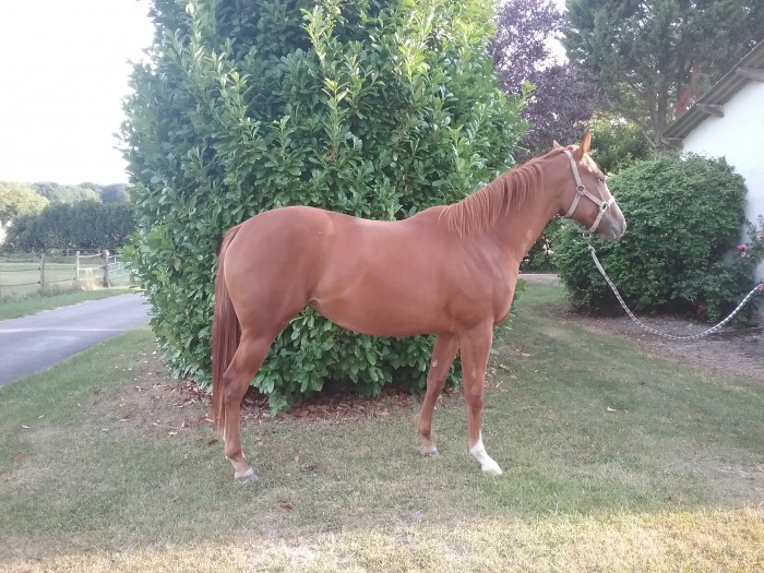 Photo de profil de carpaccio