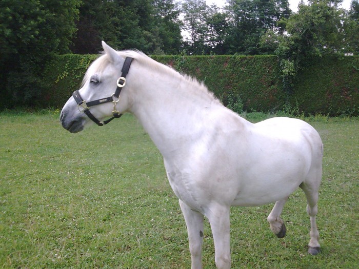 Photo de profil de casperb