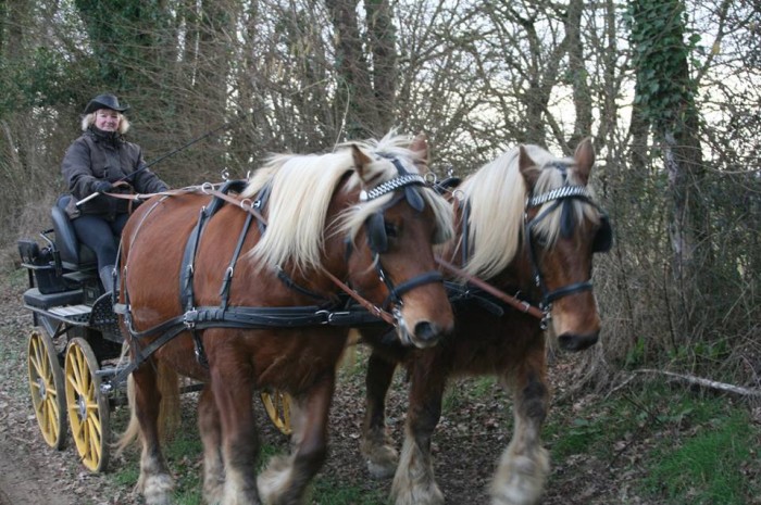 Photo de profil de catherine58