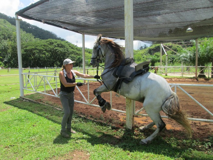 Photo de profil de cathy1