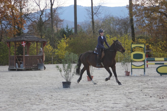 Photo de profil de cavaliere100