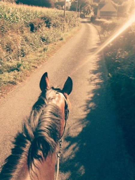 Photo de profil de cavaliere_o