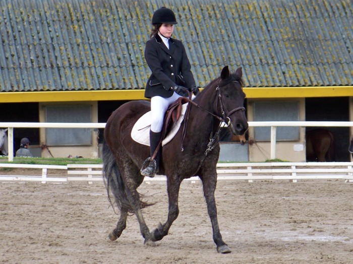Photo de profil de cavalojj