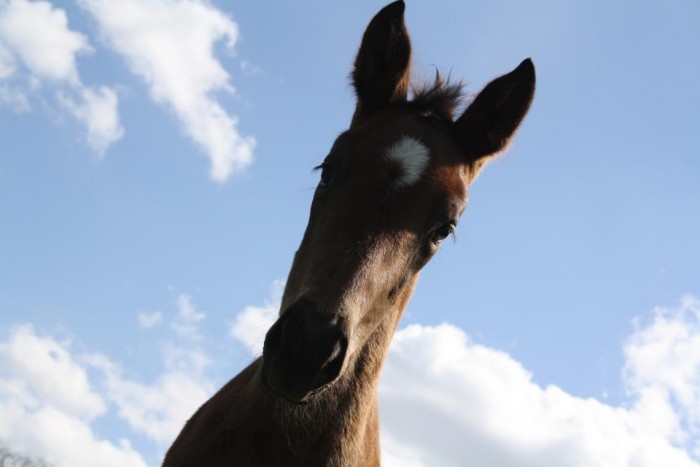 Photo de profil de cdefoulny