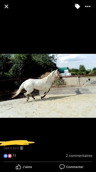 Photo de profil de celena62