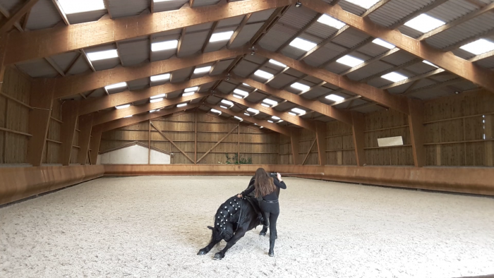 Photo de profil de celiaboou