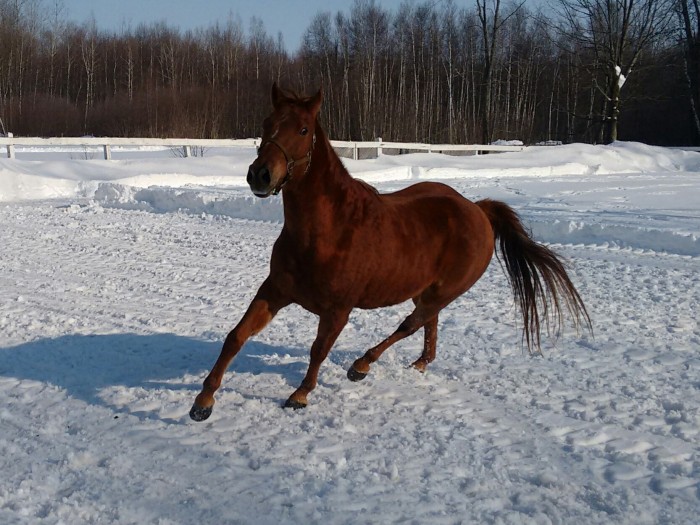 Photo de profil de cerrydwenn