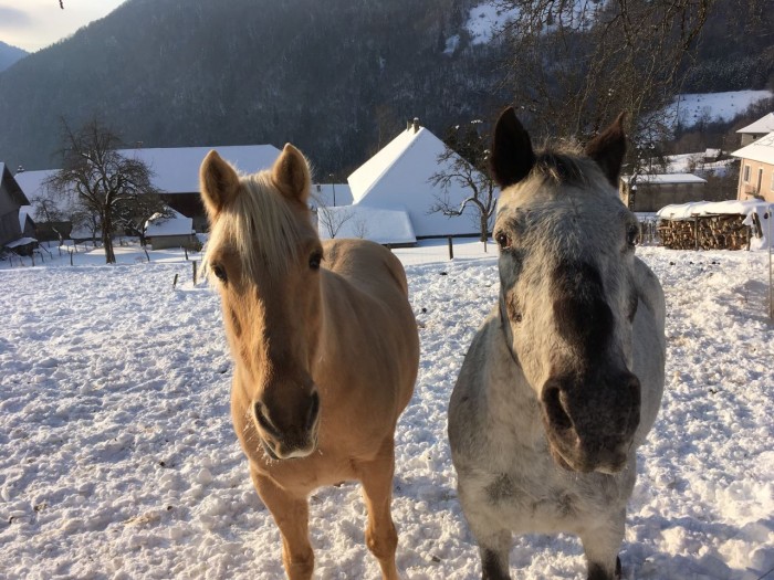 Photo de profil de cersiedessagnat