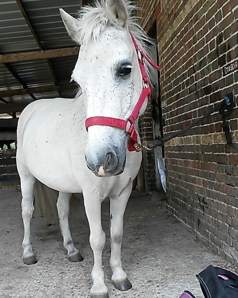 Photo de profil de chacha1011