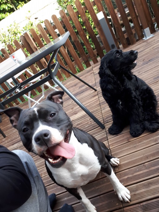 Photo de profil de chacha77100