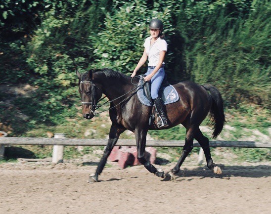 Photo de profil de chacha-king