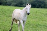 Photo de profil de chafabre