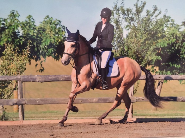 Photo de profil de chapuslea