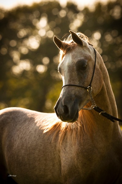 Photo de profil de charlene62850