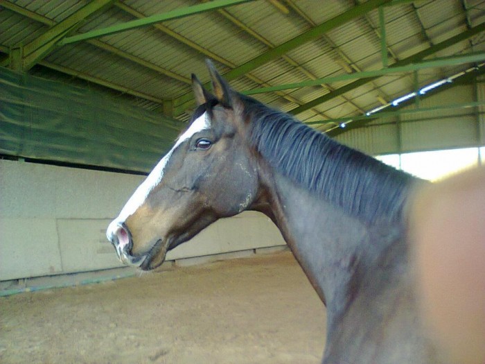 Photo de profil de charliette2