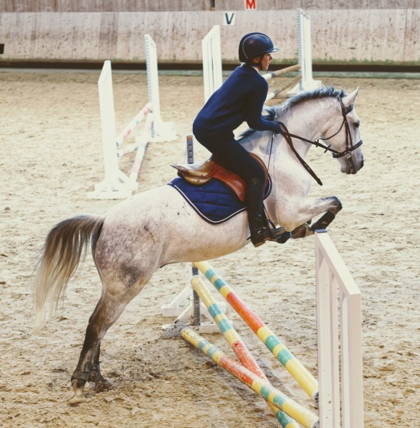 Photo de profil de charline_jardy