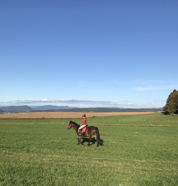 Photo de profil de charlotte88400