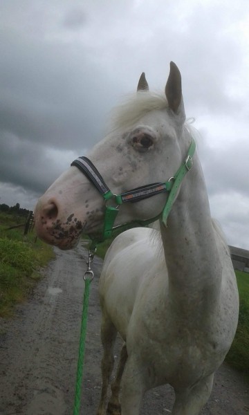 Photo de profil de charlottez22