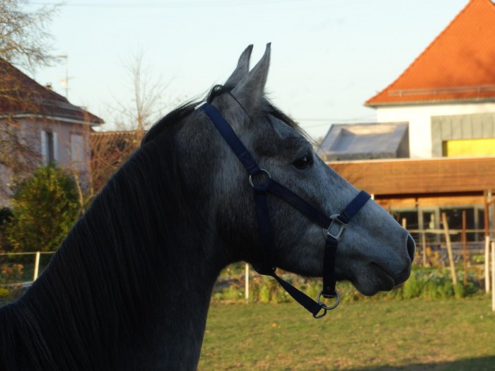 Photo de profil de charlyshagya