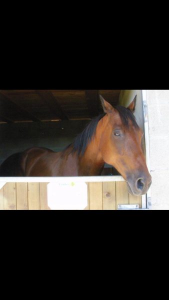 Photo de profil de chercheusede