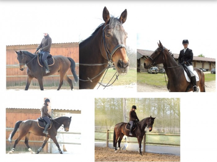 Photo de profil de chevassut.audre