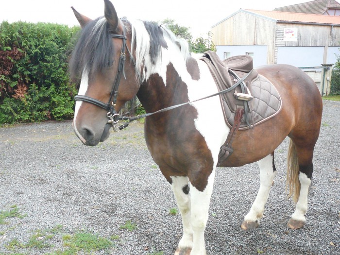 Photo de profil de cheyenne67600