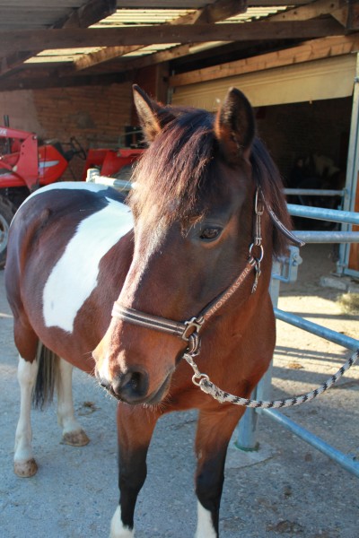 Photo de profil de chip.et.juju