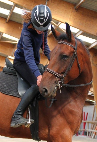 Photo de profil de chiraz