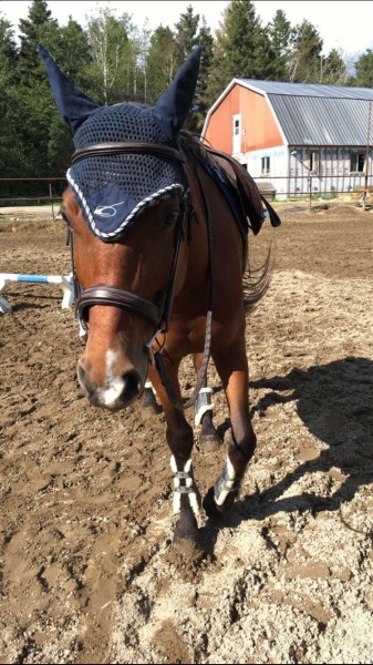 Photo de profil de chloexoxxo