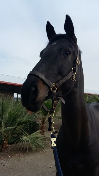 Photo de profil de chris46