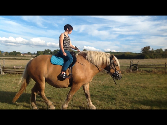 Photo de profil de cicipassion