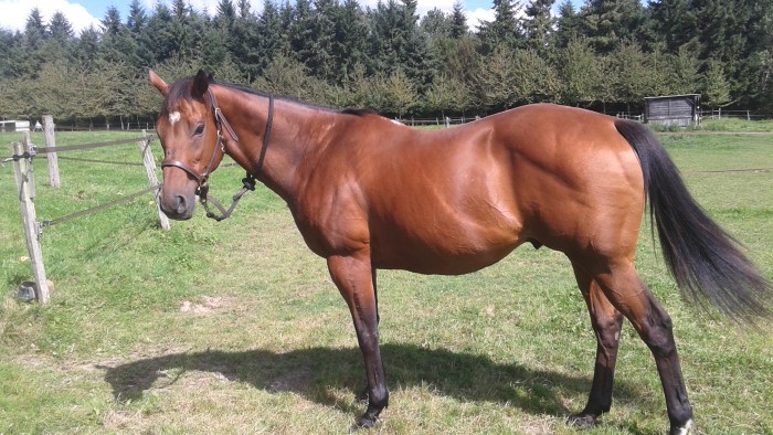 Photo de profil de cindos