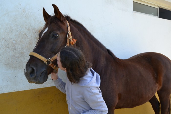 Photo de profil de circus.dreams