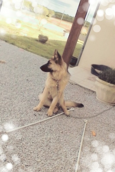 Photo de profil de clacla10