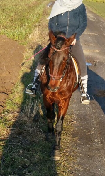 Photo de profil de clairepm