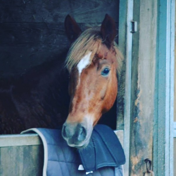 Photo de profil de clara.peint