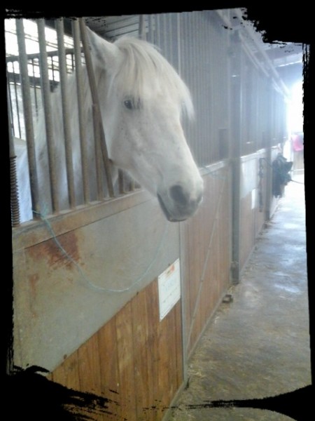 Photo de profil de clemence_tagada