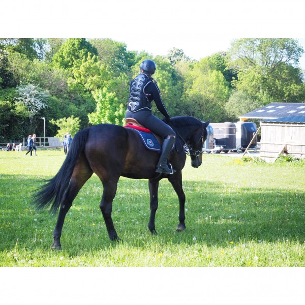 Photo de profil de clem_lbv