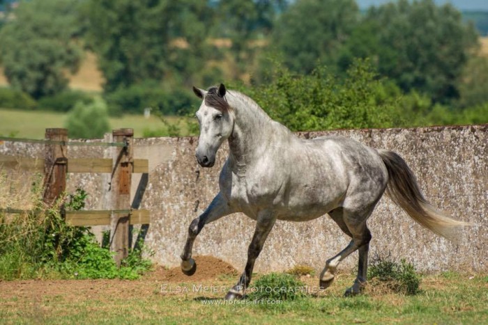 Photo de profil de cloe88