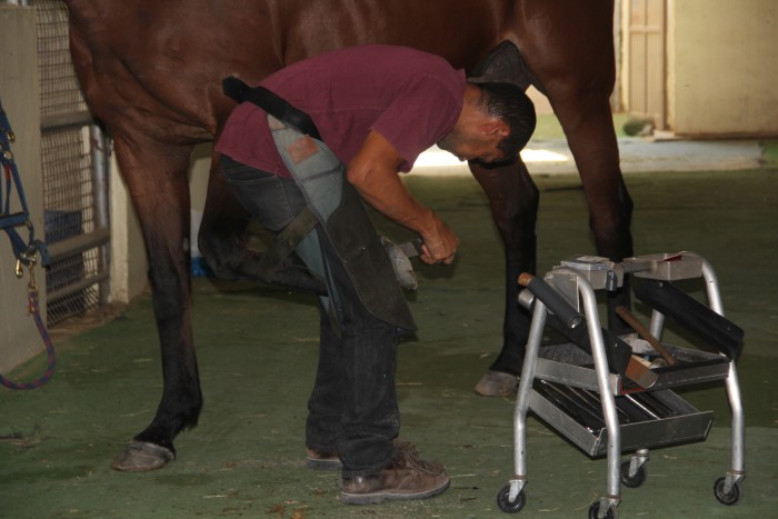 Photo de profil de clovis05