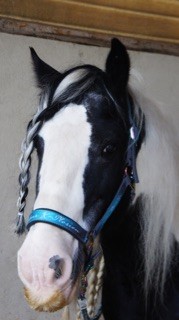 Photo de profil de coco52