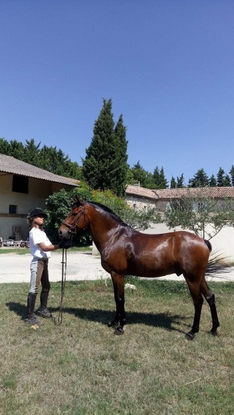Photo de profil de cocofabre