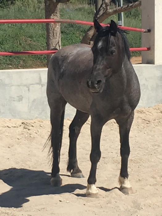 Photo de profil de cocogp