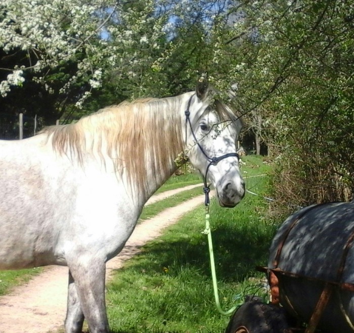 Photo de profil de cocopi