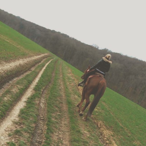 Photo de profil de cprvst