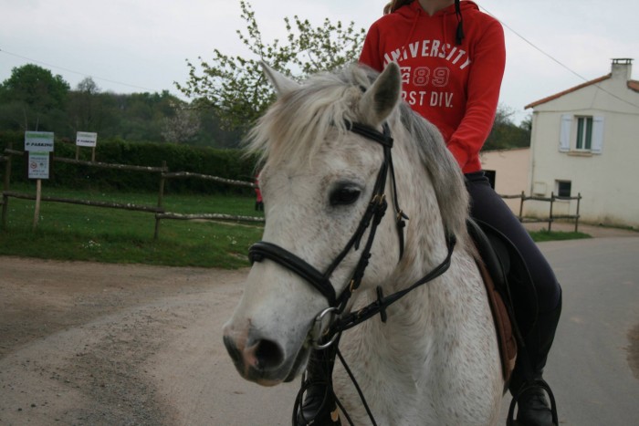 Photo de profil de crln.l