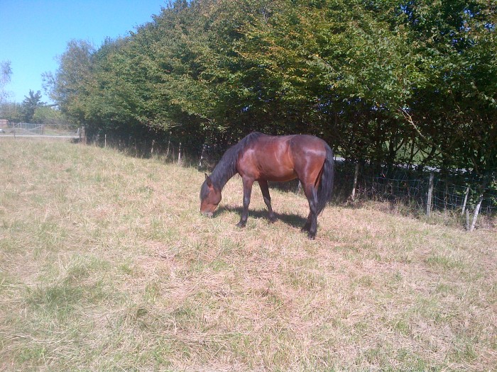 Photo de profil de cruzito