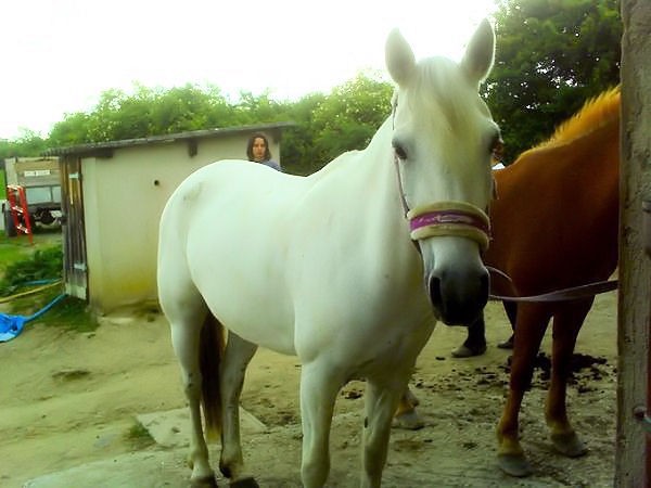 Photo de profil de dada22