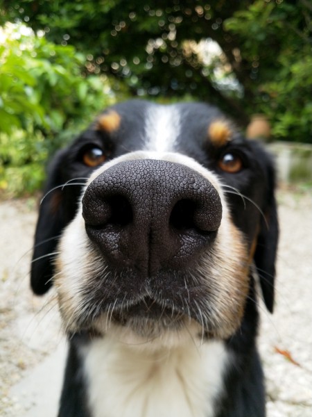 Photo de profil de daphne06