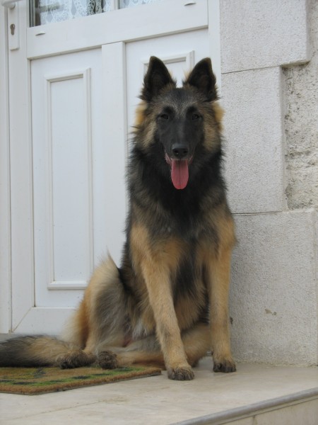 Photo de profil de darjeeling89